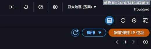 配置彈性 IP 位址按鈕